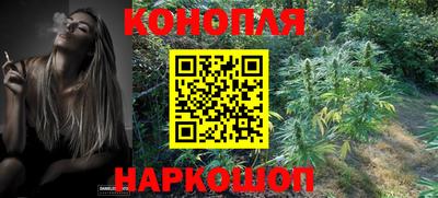 гашик Усть-Джегута
