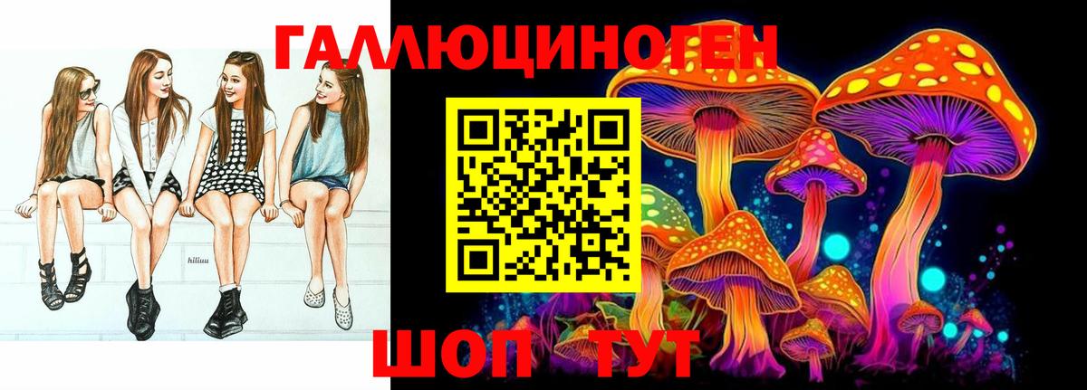 Галлюциногенные грибы Psilocybine cubensis Кингисепп